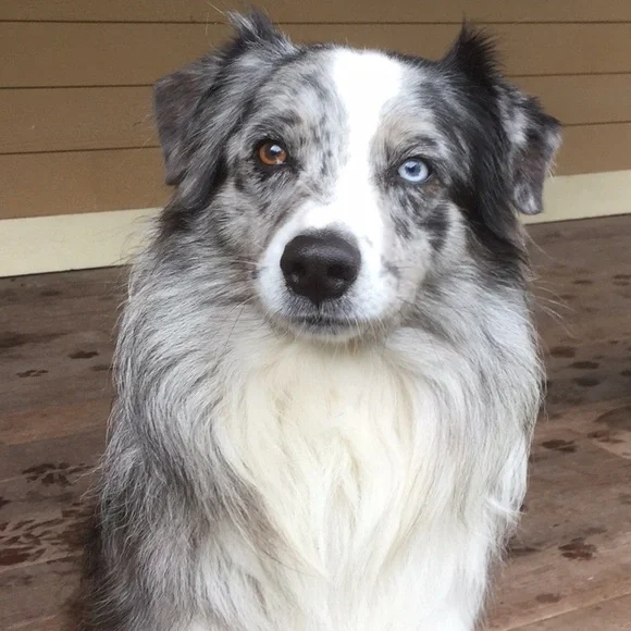 Quilted vest half sleeve farmer’s market cowgirl boho rodeo festival lodge vacay - Picture 6 of 7